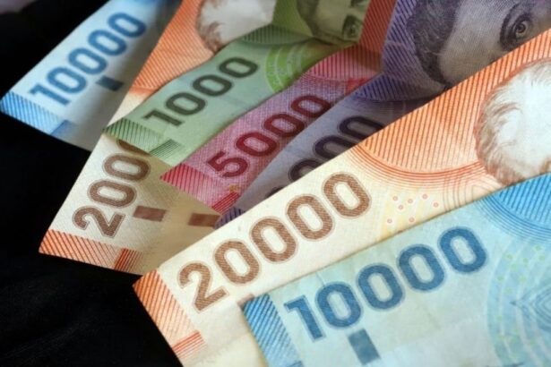 Bono Invierno 2025: revisa si recibirás el pago automático de $81.257 en mayo